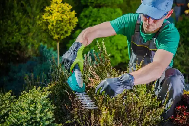 landscaping services Falkner